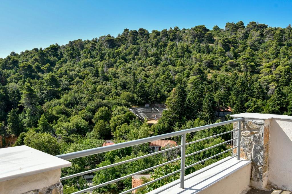 From Balcony Views to Garden Strolls: Embracing Nature at Our Hotel Image